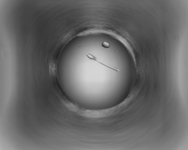 X0000113920045200909241539