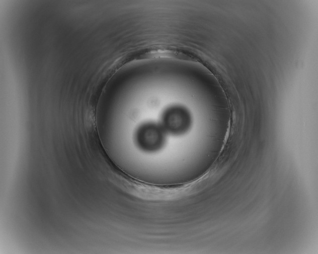 X0000113920048200909241539