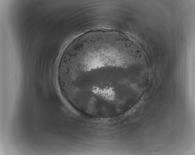 X0000113920049200909241538