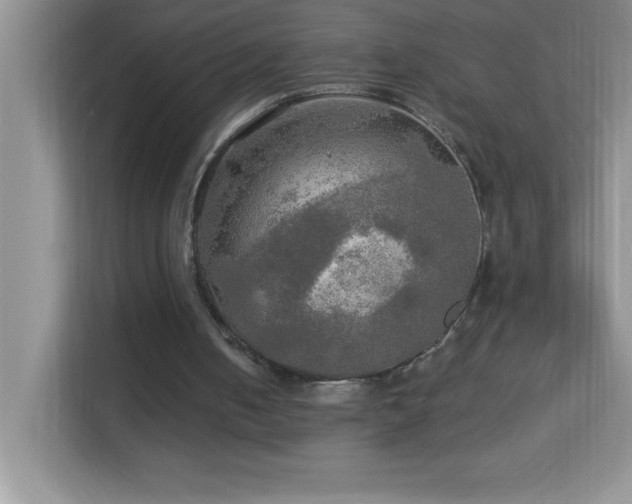 X0000113920050200909241538