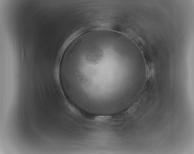 X0000113920051200909241538