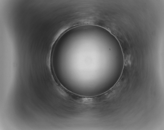 X0000113920052200909241538