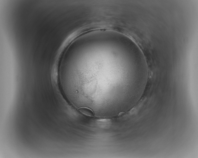 X0000113920053200909241538