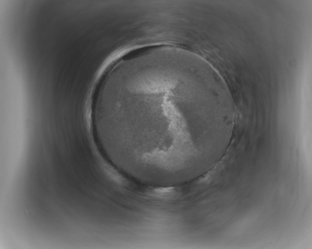 X0000113920054200909241538