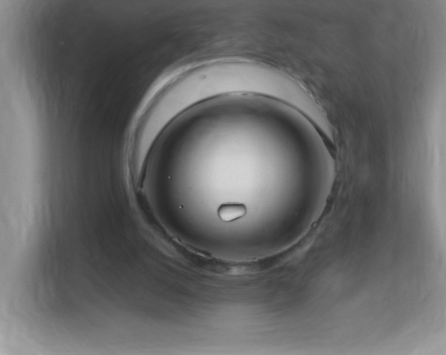 X0000113920056200909241538