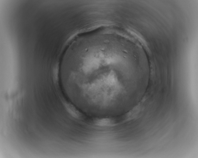 X0000113920058200909241538