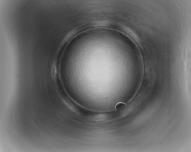 X0000113920059200909241538