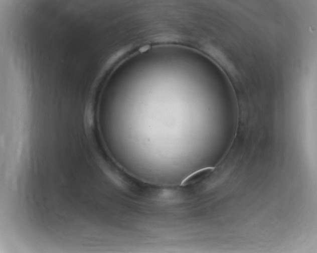 X0000113920060200909241538