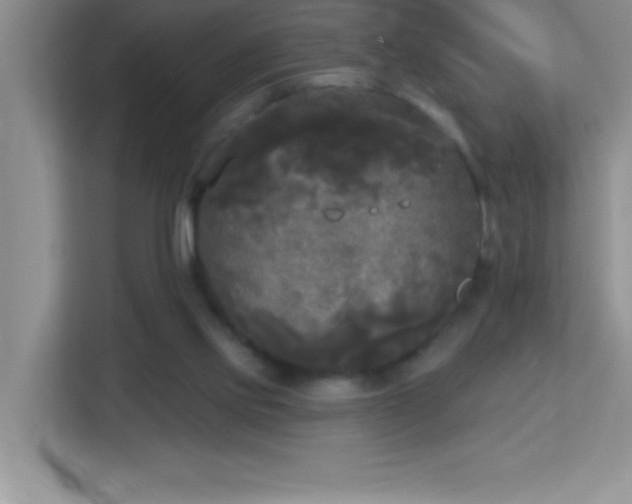 X0000113920061200909241538