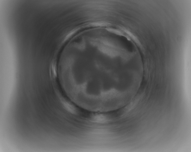 X0000113920062200909241538