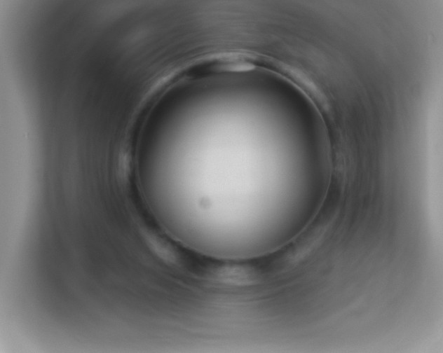 X0000113920063200909241538