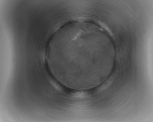 X0000113920065200909241538