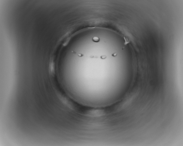 X0000113920067200909241538