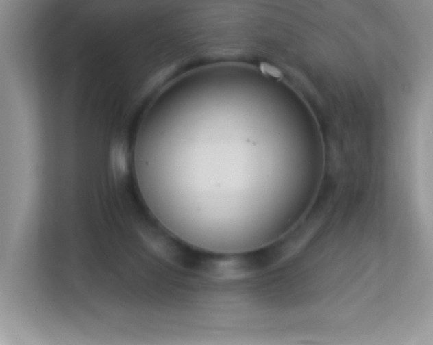 X0000113920068200909241538