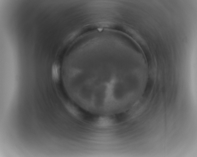 X0000113920070200909241538