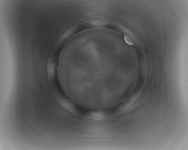 X0000113920071200909241538