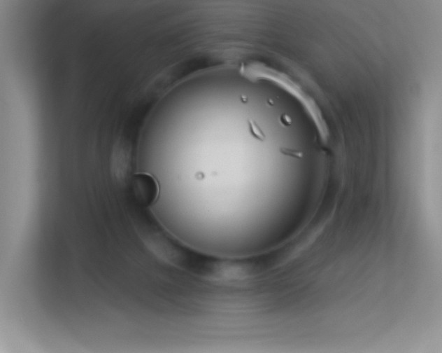 X0000113920073200909241538