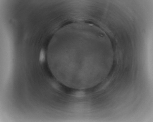 X0000113920075200909241538