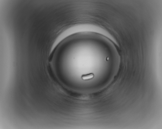 X0000113920076200909241538