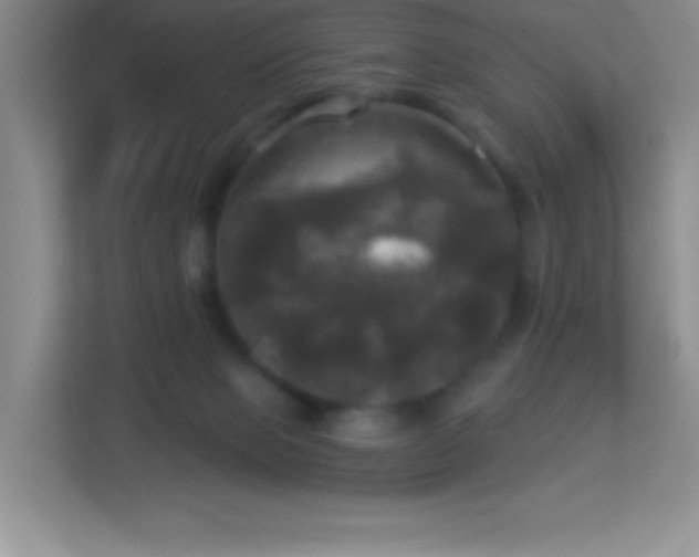 X0000113920077200909241538