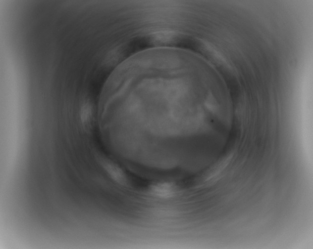 X0000113920079200909241539