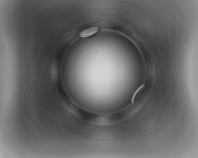 X0000113920080200909241539