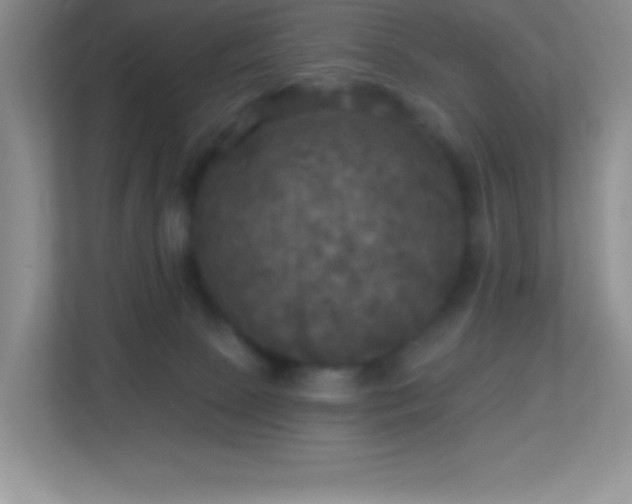 X0000113920081200909241539