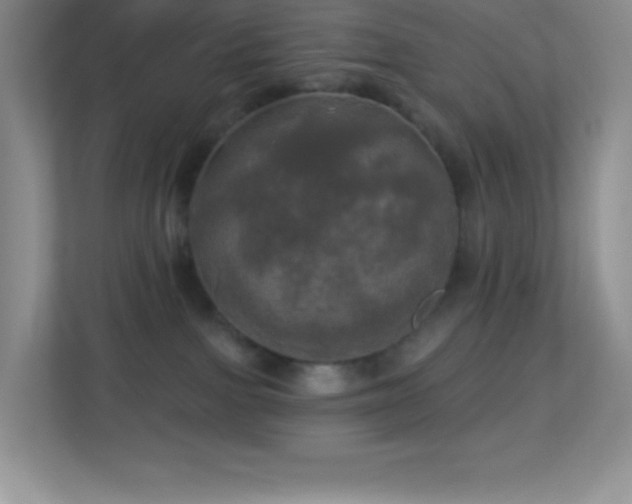 X0000113920091200909241539