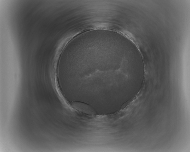 X0000113920097200909241538