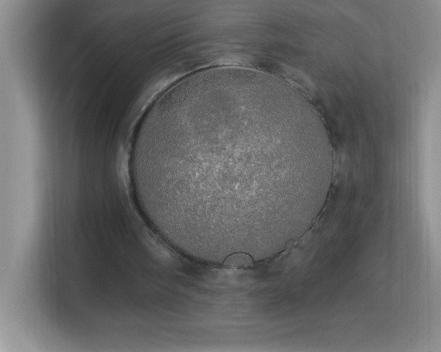 X0000113920098200909241538