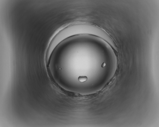 X0000113920100200909241538