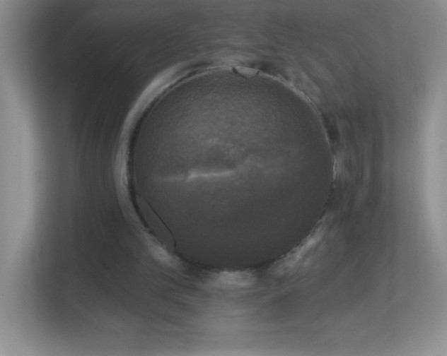 X0000113920101200909241538