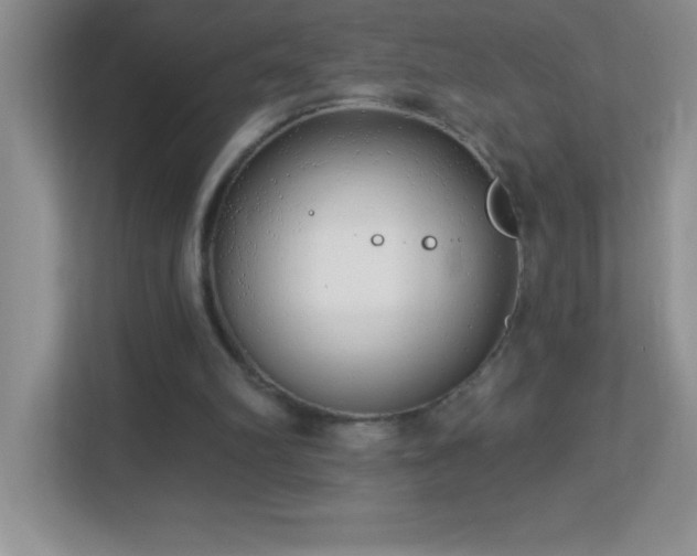 X0000113920102200909241538