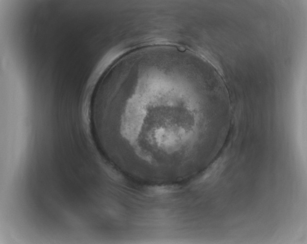 X0000113920103200909241538