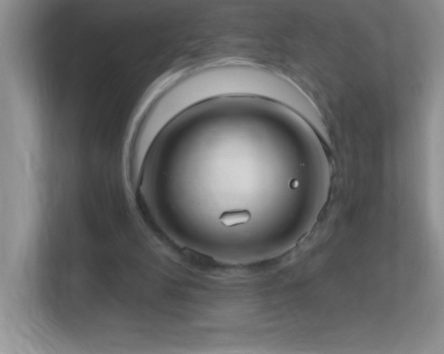 X0000113920104200909241538