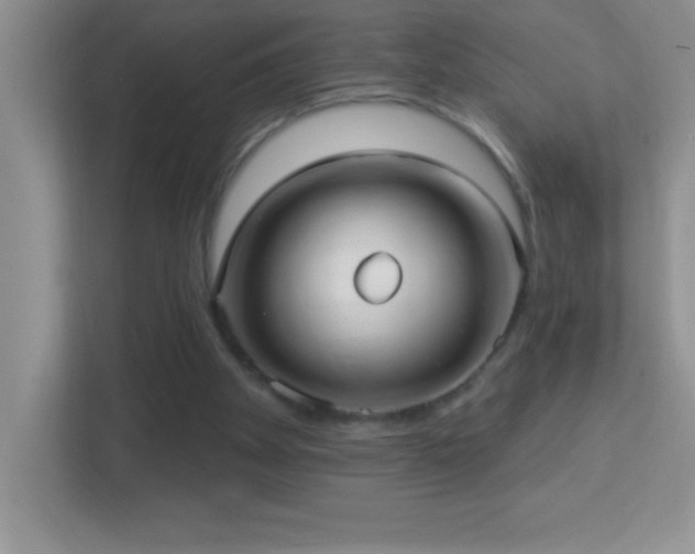 X0000113920105200909241538