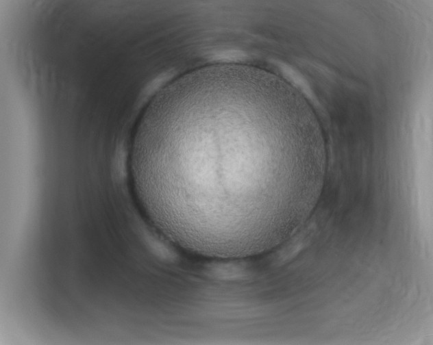 X0000113920106200909241538