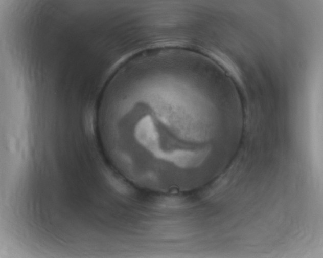 X0000113920107200909241538