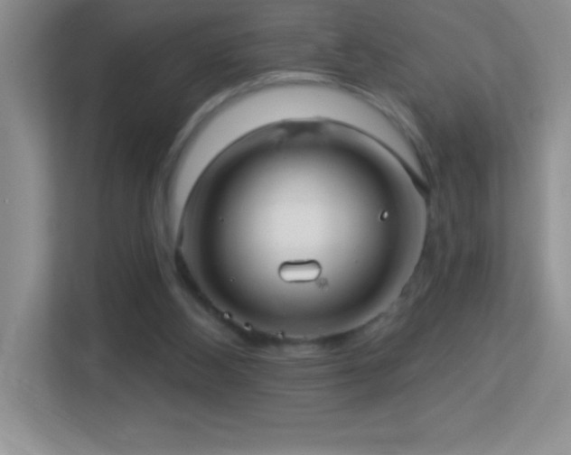 X0000113920108200909241538