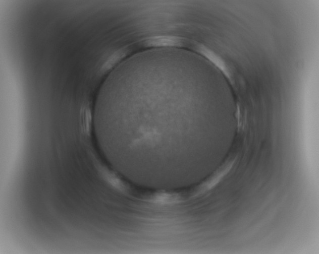 X0000113920109200909241538