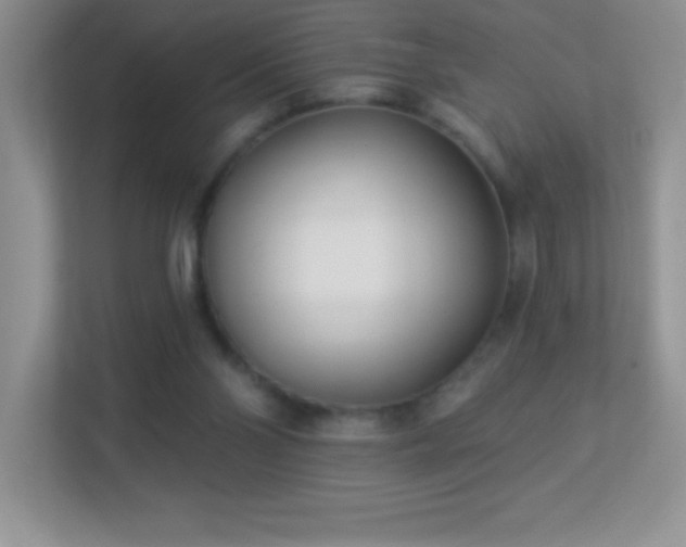 X0000113920110200909241538