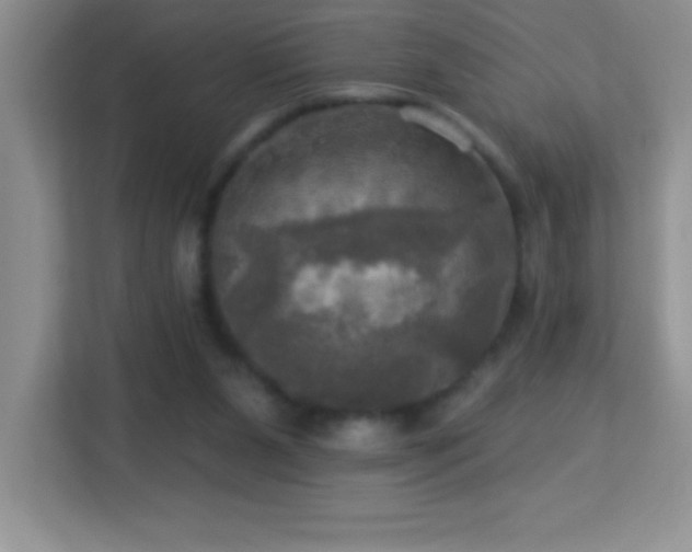 X0000113920111200909241538