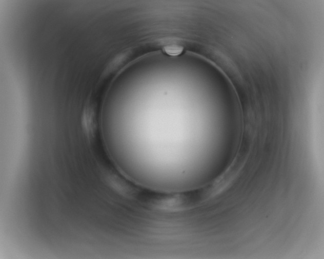 X0000113920116200909241538