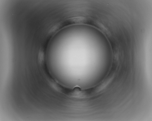 X0000113920117200909241538