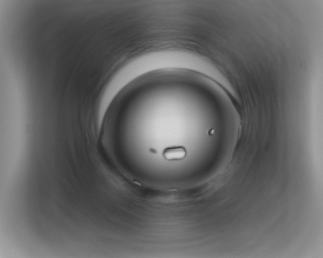 X0000113920120200909241538