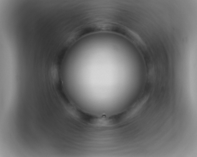 X0000113920121200909241538