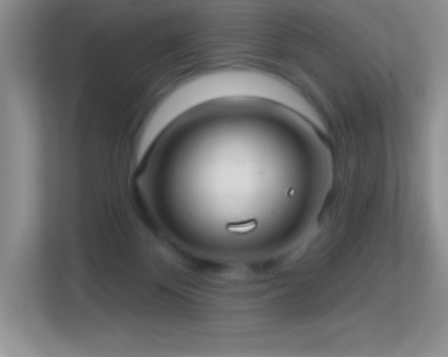 X0000113920124200909241538