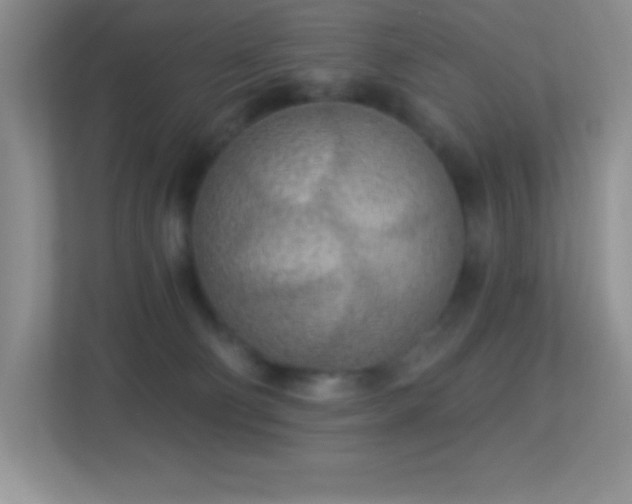 X0000113920130200909241538