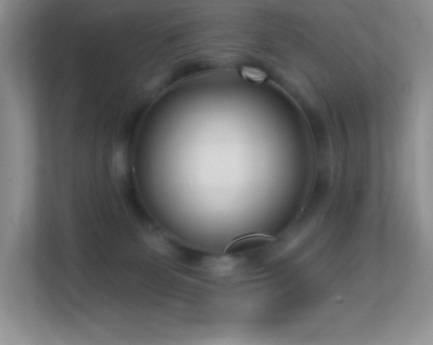 X0000113920131200909241537