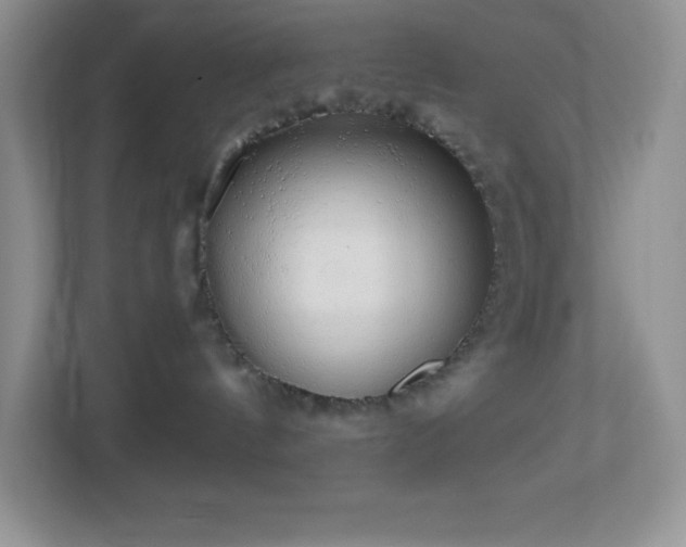 X0000113920144200909241537